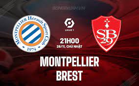 Montpellier vs Stade Brestois – Soi kèo bóng 21h00 26/11/2023 – VĐQG Pháp