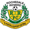 Rochedale Rovers