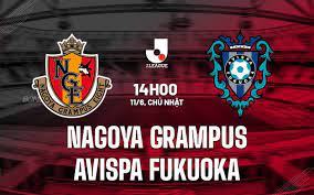 Nagoya Grampus vs Avispa Fukuoka – Nhận định kèo bóng đá 14h00 11/6/2023 – VĐQG Nhật Bản
