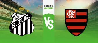 Santos vs Flamengo RJ FC  – Nhận định kèo bóng đá 04h30 26/6/2023 – VĐQG Brazil