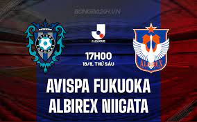 Avispa Fukuoka vs Albirex Niigata- Nhận định kèo bóng đá 17h00 18/08/2023 – VĐQG Nhật Bản