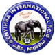 Enyimba International