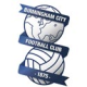 Birmingham(U21)