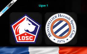 Lille vs Montpellier – Soi kèo bóng 20h00 03/09/2023 – VĐQG Pháp