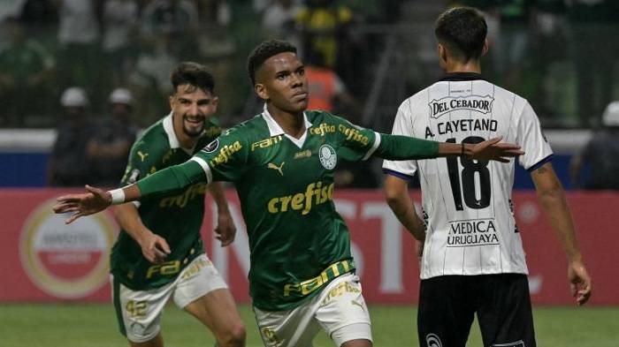 Nhận định, soi kèo Palmeiras vs Botafogo, 07h30 ngày 27/11: “Chung kết” là đây