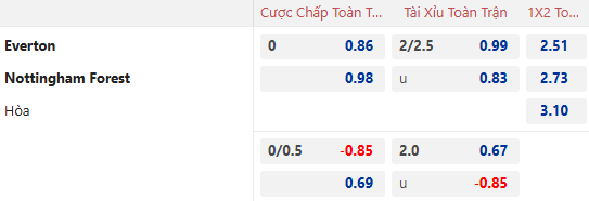 Nhận định, soi kèo Everton vs Nottingham, 22h00 ngày 29/12: Đứt mạch toàn thắng - Ảnh 1