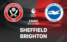 Sheffield United vs Brighton & Hove Albion – Soi kèo bóng 21h00 18/02/2024 – Ngoại hạng Anh