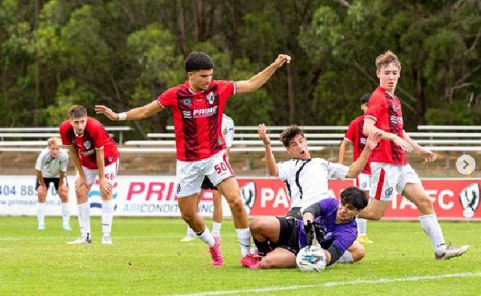 Nhận định, soi kèo Bulls vs Dulwich Hill, 16h30 ngày 25/6: Bám đuổi gắt gao