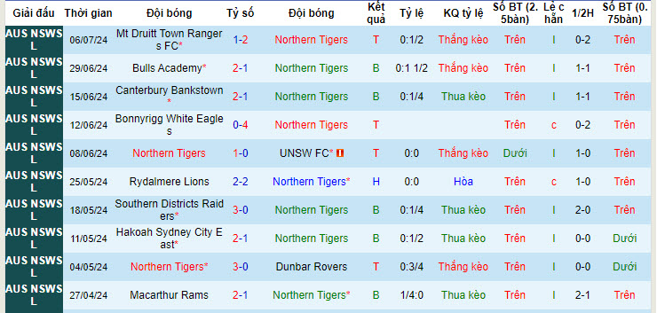 Nhận định, soi kèo Northern Tigers vs Bankstown City, 16h30 ngày 10/7: Chưa từ bỏ - Ảnh 1