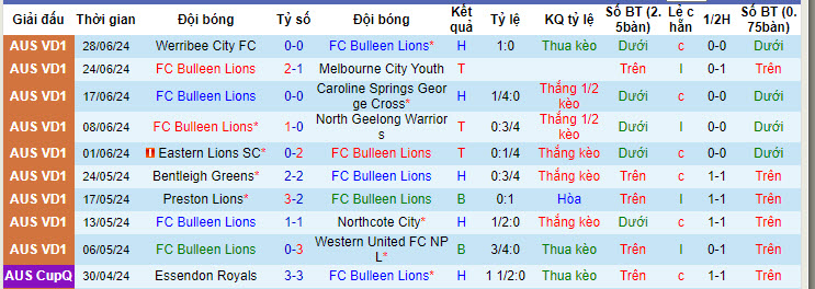 Nhận định, soi kèo Bulleen Lions vs Brunswick City, 17h30 ngày 8/7: Khách cúi đầu ra về - Ảnh 1