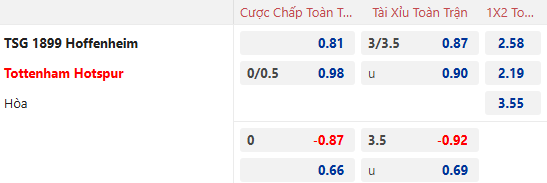 Nhận định, soi kèo Hoffenheim vs Tottenham, 0h45 ngày 24/1: Cải thiện phong độ - Ảnh 1