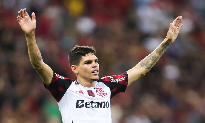 Kèo vàng bóng đá Fluminense vs Flamengo, 07h30 ngày 20/11: Khách hoan ca