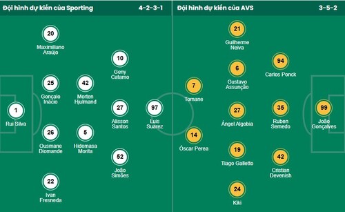 Nhận định, soi kèo Sporting CP vs AVS Futebol - Ảnh 1