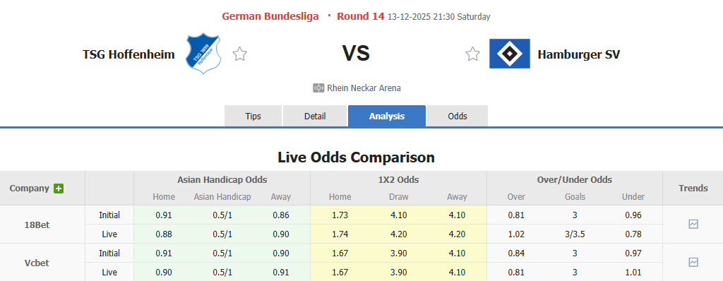 Nhận định, soi kèo Hoffenheim vs Hamburger, 21h30 ngày 13/12: Pháo đài bất khả xâm phạm - Ảnh 1