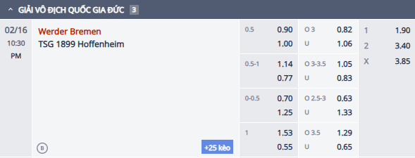 Nhận định, soi kèo Bremen vs Hoffenheim, 21h30 ngày 16/2: Chủ nhà tụt dốc - Ảnh 1