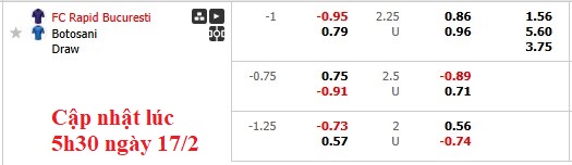 Nhận định, soi kèo Rapid 1923 vs Botosani, 1h00 ngày 18/2: Duy trì phong độ cao - Ảnh 5