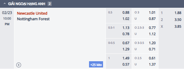 Nhận định, soi kèo Newcastle vs Nottingham Forest, 21h00 ngày 23/2: Rút ngắn khoảng cách - Ảnh 1