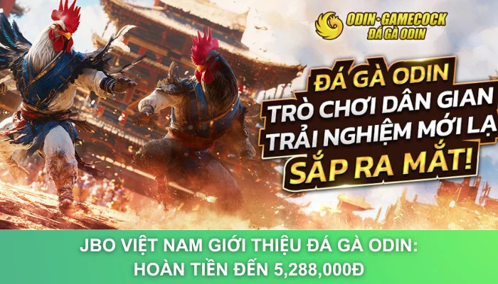 JBO Việt Nam Giới Thiệu Đá Gà Odin: Hoàn Tiền Đến 5,288,000đ	