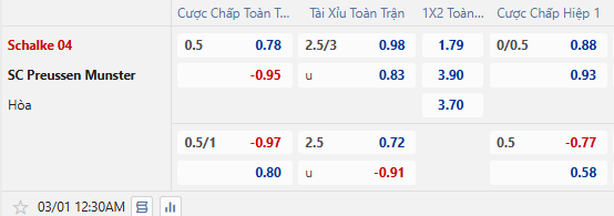 Nhận định, soi kèo Schalke vs Preussen Munster, 0h30 ngày 1/3: Bổn cũ soạn lại - Ảnh 1