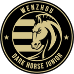 Wenzhou Professional