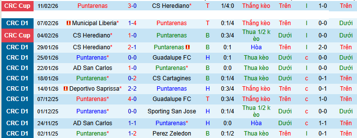 Nhận định, soi kèo Puntarenas vs Perez Zeledon - Ảnh 1