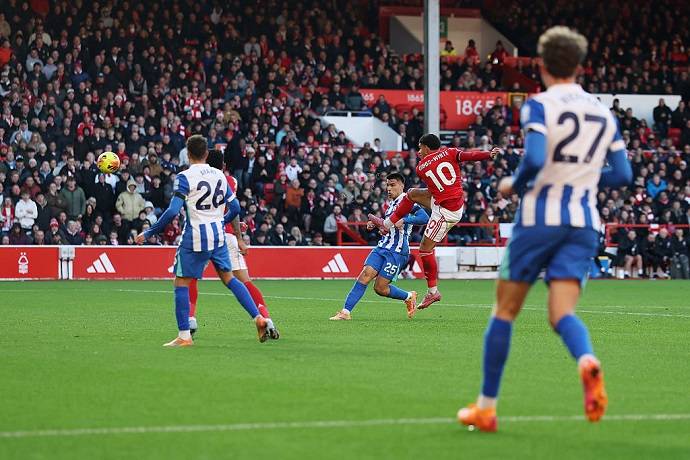 Siêu máy tính dự đoán Brighton vs Nottingham, 21h00 ngày 1/3