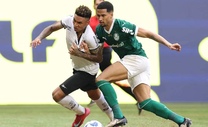 Nhận định, soi kèo Palmeiras vs Botafogo, 5h00 ngày 19/3: Nhẹ nhàng vượt ải